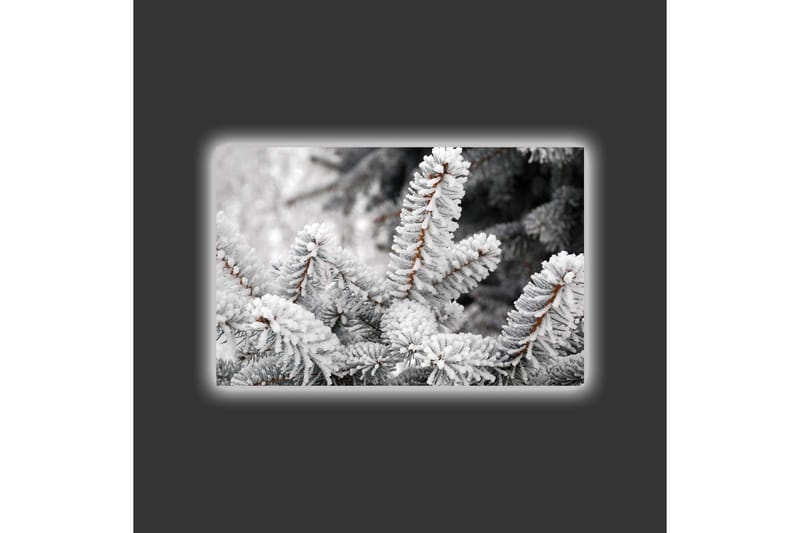 Canvastavla med LED-belysning - Frostiga granar i vinterlandskap - Vit / Grå / Brun - Inredning - Tavlor & konst - Canvastavlor