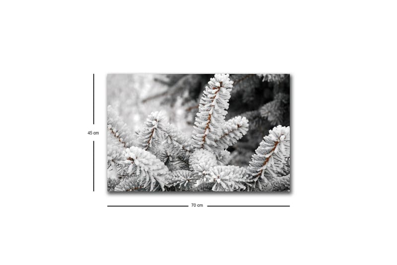 Canvastavla med LED-belysning - Frostiga granar i vinterlandskap - Vit / Grå / Brun - Inredning - Tavlor & konst - Canvastavlor