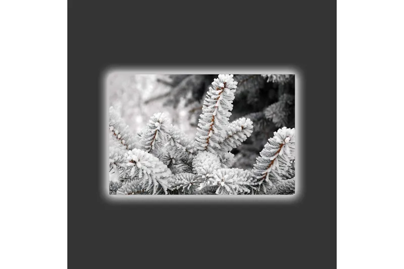 Canvastavla med LED-belysning - Frostiga granar i vinterlandskap - Vit / Grå / Brun - Inredning - Tavlor & konst - Canvastavlor