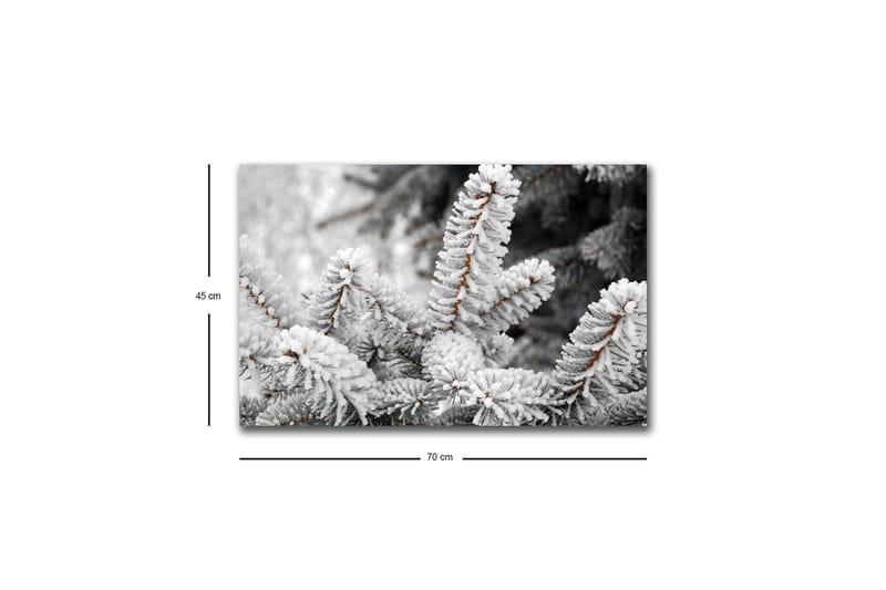 Canvastavla med LED-belysning - Frostiga granar i vinterlandskap - Vit / Grå / Brun - Inredning - Tavlor & konst - Canvastavlor