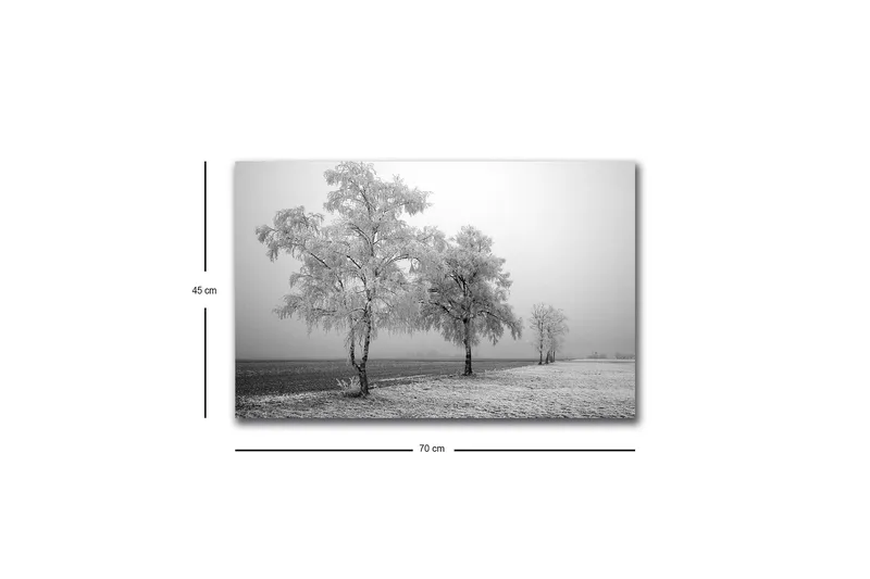 Canvastavla med LED-belysning - Frostiga träd i en vinterlandskap - Vitt / Grått - Inredning - Tavlor & konst - Canvastavlor
