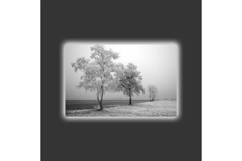 Canvastavla med LED-belysning - Frostiga träd i en vinterlandskap - Vitt / Grått - Inredning - Tavlor & konst - Canvastavlor