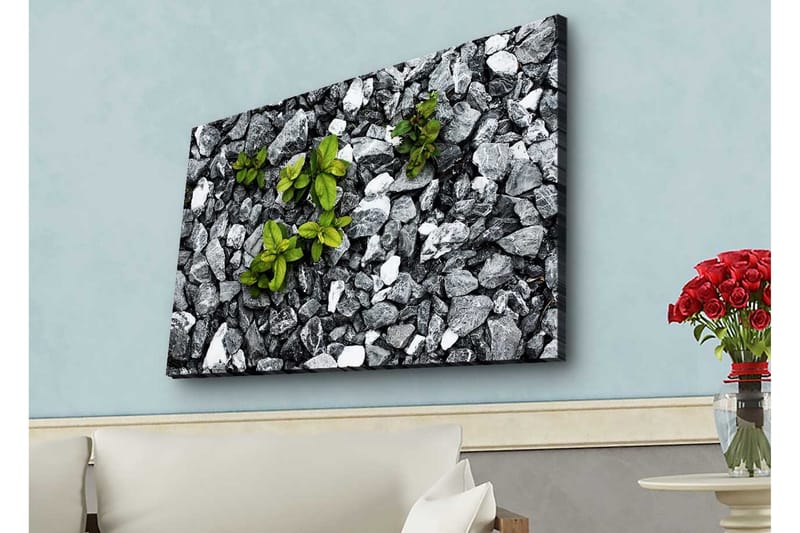 Canvastavla med LED-belysning - Grå stenig yta med gröna växter som växer fram - Grå / Grön - Inredning - Tavlor & konst - Canvastavlor