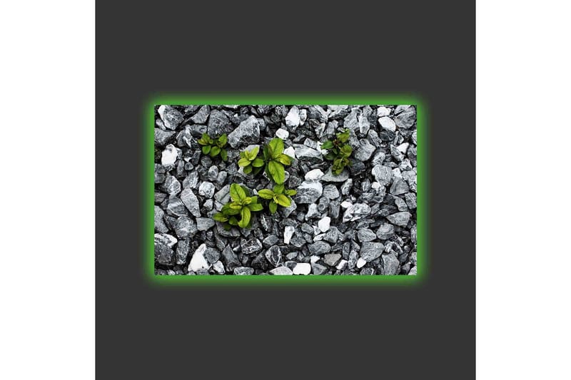 Canvastavla med LED-belysning - Grå stenig yta med gröna växter som växer fram - Grå / Grön - Inredning - Tavlor & konst - Canvastavlor