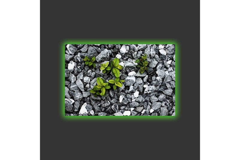 Canvastavla med LED-belysning - Grå stenig yta med gröna växter som växer fram - Grå / Grön - Inredning - Tavlor & konst - Canvastavlor
