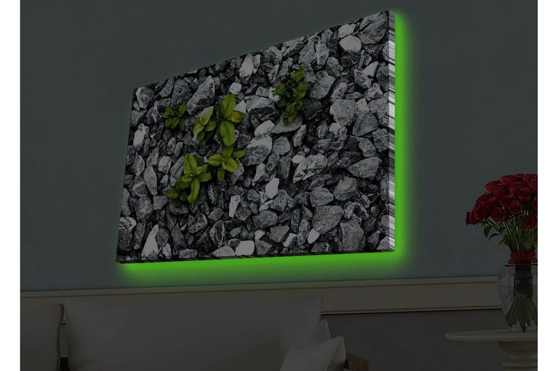 Canvastavla med LED-belysning - Grå stenig yta med gröna växter som växer fram - Grå / Grön - Inredning - Tavlor & konst - Canvastavlor