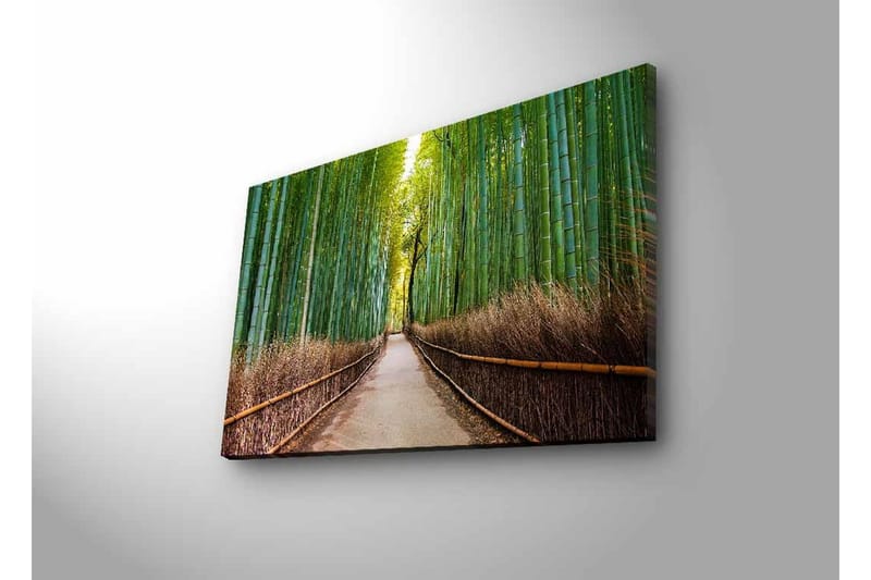 Canvastavla med LED-belysning - Grön bambuskog med en stig som leder genom träden - Grön / Brun - Inredning - Tavlor & konst - Canvastavlor