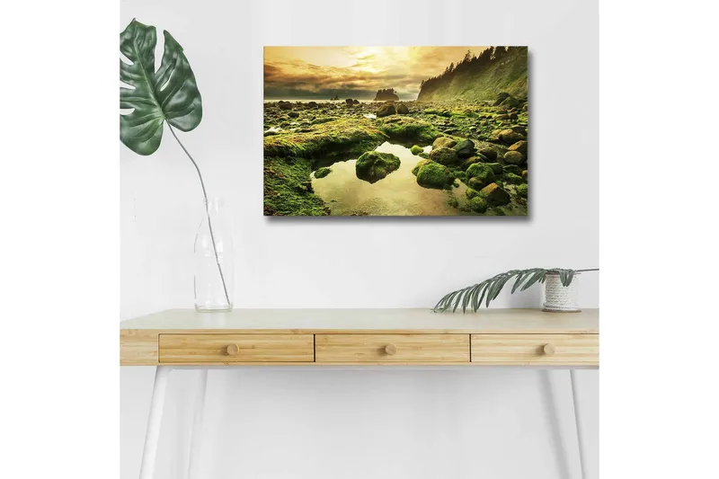 Canvastavla med LED-belysning - Grönskande kustlandskap med klippor och spegelblanka vattenpölar, Grön / Brun / Gul
