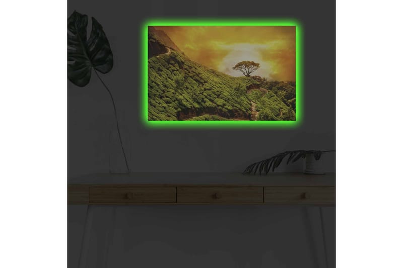 Canvastavla med LED-belysning - Grönskande landskap med en ensam trädkrona mot en gyllene himmel - Grön / Guld / Brun - Inredning - Tavlor & konst - Canvastavlor