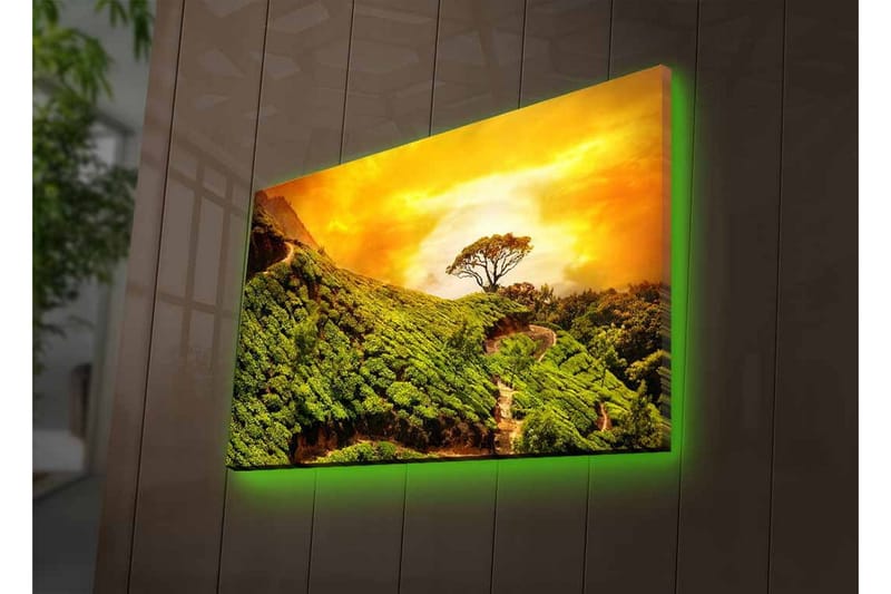 Canvastavla med LED-belysning - Grönskande landskap med en ensam trädkrona mot en gyllene himmel - Grön / Guld / Brun - Inredning - Tavlor & konst - Canvastavlor