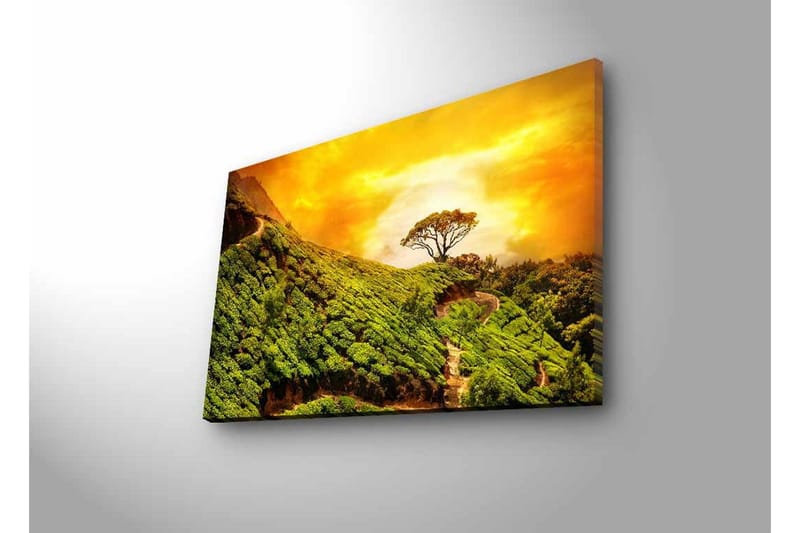 Canvastavla med LED-belysning - Grönskande landskap med en ensam trädkrona mot en gyllene himmel - Grön / Guld / Brun - Inredning - Tavlor & konst - Canvastavlor