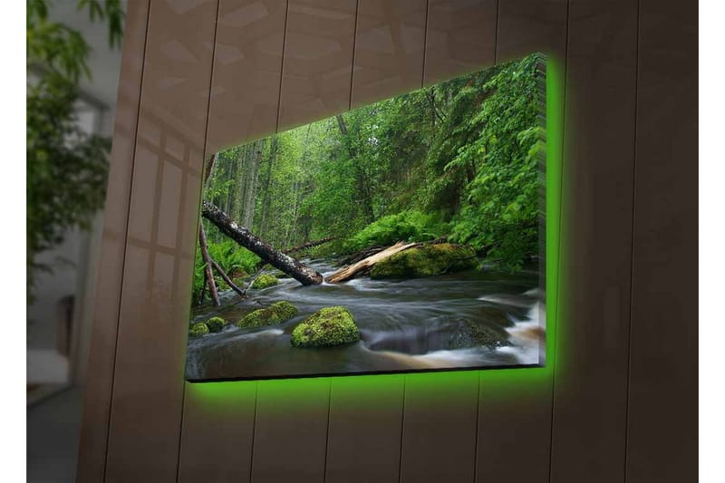 Canvastavla med LED-belysning - Grönskande skog med en porlande bäck - Grön / Brun / Svart - Inredning - Tavlor & konst - Canvastavlor
