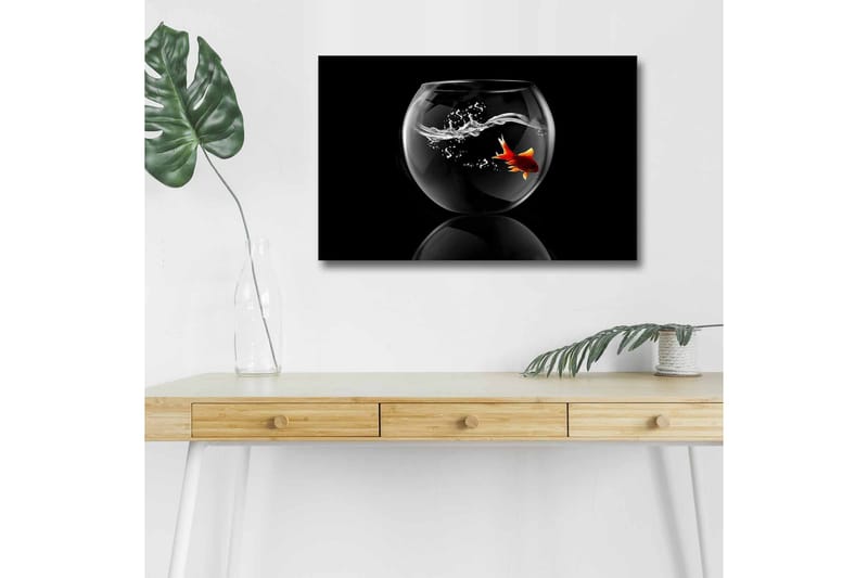 Canvastavla med LED-belysning - Guld fisk simmande i en glasbehållare med vattenstänk - Svart / Röd / Transparent - Inredning - Tavlor & konst - Canvastavlor