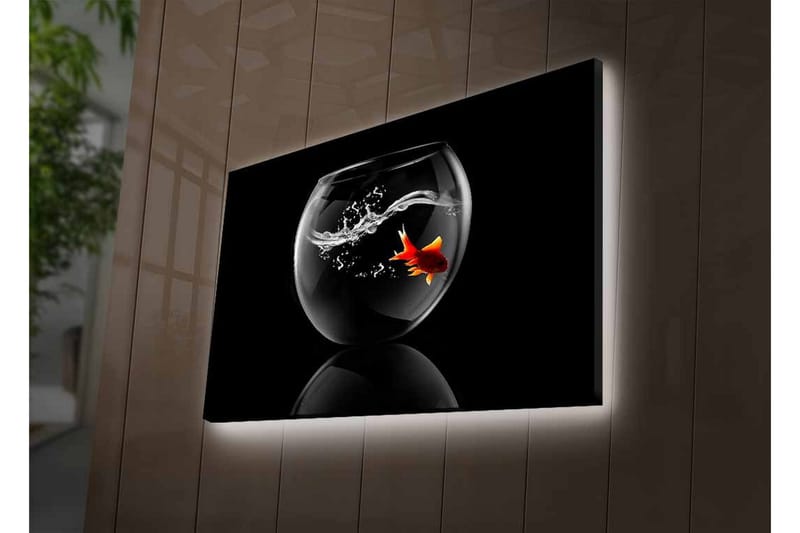 Canvastavla med LED-belysning - Guld fisk simmande i en glasbehållare med vattenstänk - Svart / Röd / Transparent - Inredning - Tavlor & konst - Canvastavlor