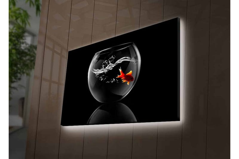 Canvastavla med LED-belysning - Guld fisk simmande i en glasbehållare med vattenstänk - Svart / Röd / Transparent - Inredning - Tavlor & konst - Canvastavlor