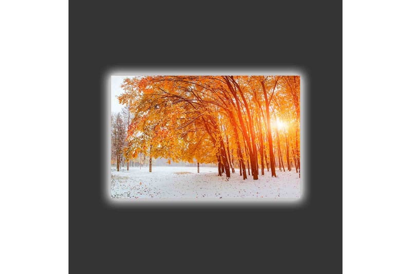 Canvastavla med LED-belysning - Gyllene höstskog med solstrålar som strålar genom träden - Orange / Guld / Vit - Inredning - Tavlor & konst - Canvastavlor