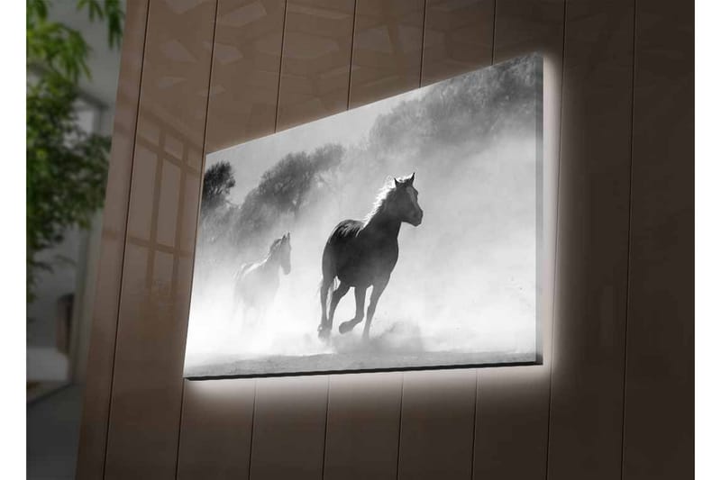 Canvastavla med LED-belysning - Hästar som galopperar genom dimma - Svart / Vitt / Grått - Inredning - Tavlor & konst - Canvastavlor
