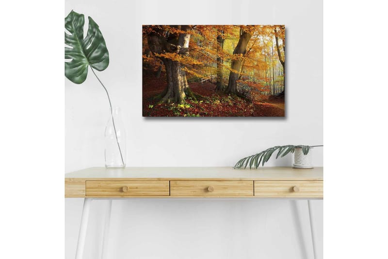 Canvastavla med LED-belysning - Höstlandskap med färgglada träd och löv - Orange / Brun / Grön - Inredning - Tavlor & konst - Canvastavlor
