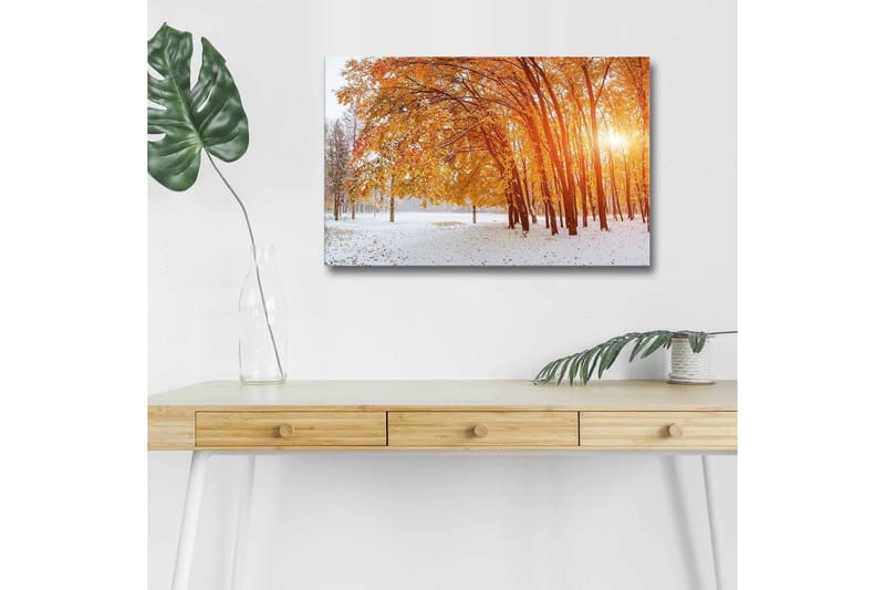 Canvastavla med LED-belysning - Höstlandskap med gyllene träd i snöig miljö - Guld / Vit / Brun - Inredning - Tavlor & konst - Canvastavlor