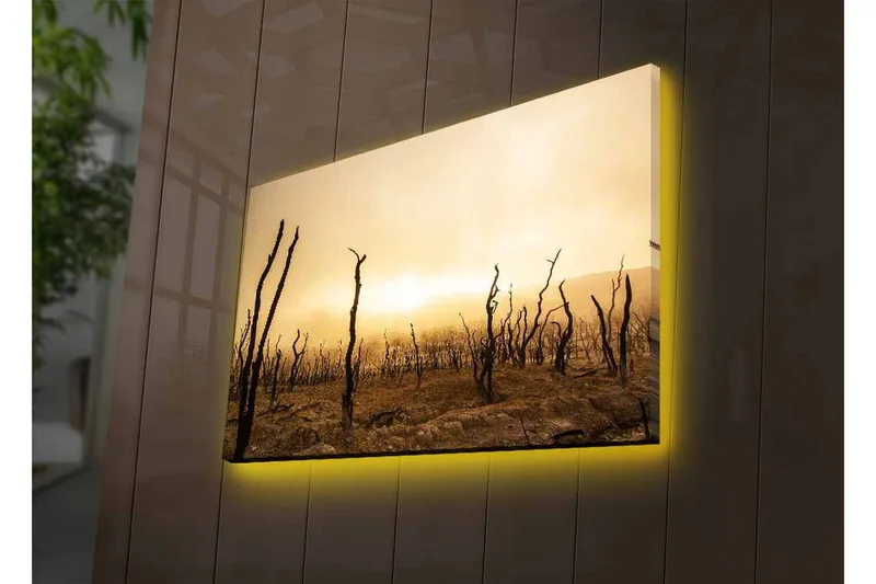 Canvastavla med LED-belysning - Karg landskap med döda trädstammar - Mörkbrun / Beige / Grå - Inredning - Tavlor & konst - Canvastavlor