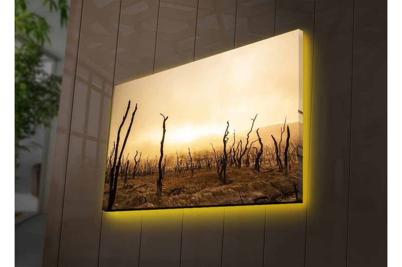 Canvastavla med LED-belysning - Karg landskap med döda trädstammar - Mörkbrun / Beige / Grå - Inredning - Tavlor & konst - Canvastavlor