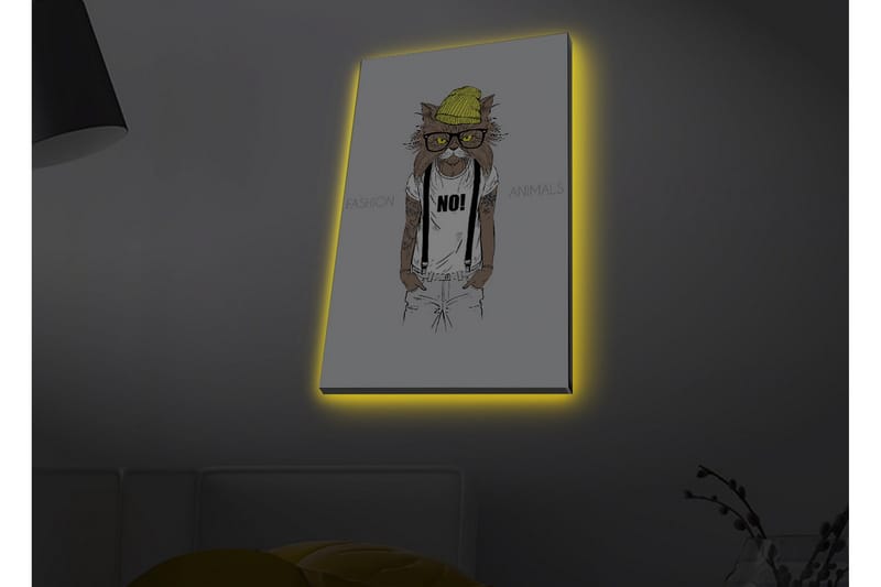 Canvastavla med LED-belysning - Katt med hipsterstil i kläder och glasögon - Gul / Brun / Vit - Inredning - Tavlor & konst - Canvastavlor