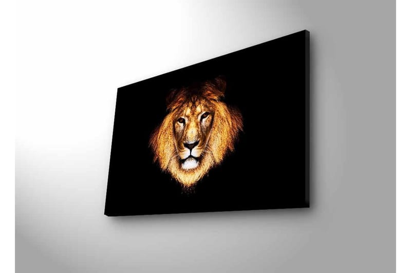 Canvastavla med LED-belysning - Lejonhuvud med intensiv blick - Guld / Svart / Brun - Inredning - Tavlor & konst - Canvastavlor