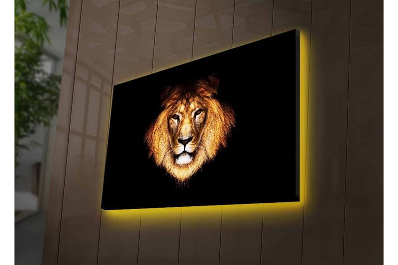 Canvastavla med LED-belysning - Lejonhuvud med intensiv blick - Guld / Svart / Brun - Inredning - Tavlor & konst - Canvastavlor