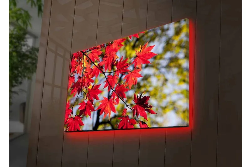 Canvastavla med LED-belysning - Ljust röda lönnlöv som hänger från en gren - Röd / Grön - Inredning - Tavlor & konst - Canvastavlor