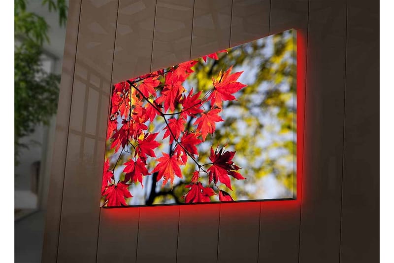 Canvastavla med LED-belysning - Ljust röda lönnlöv som hänger från en gren - Röd / Grön - Inredning - Tavlor & konst - Canvastavlor