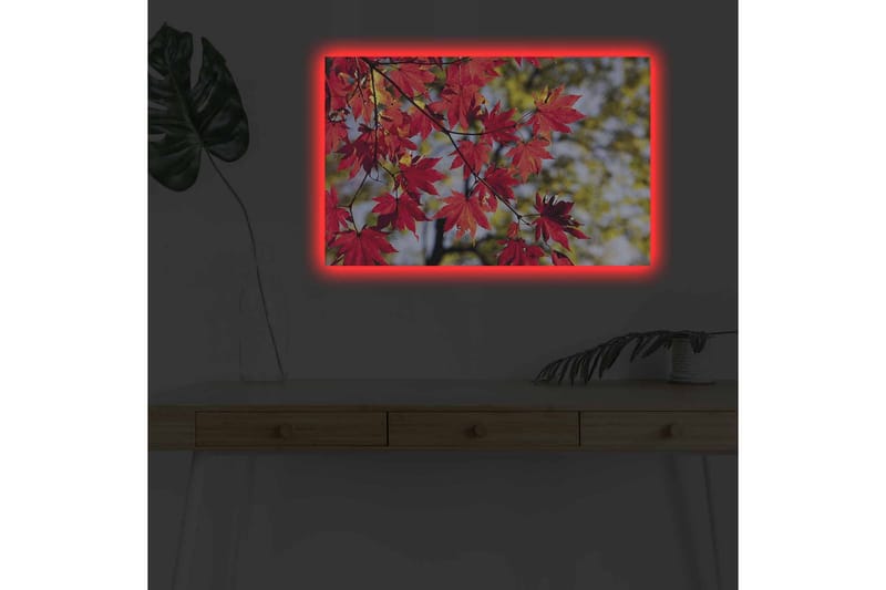 Canvastavla med LED-belysning - Ljust röda lönnlöv som hänger från en gren - Röd / Grön - Inredning - Tavlor & konst - Canvastavlor