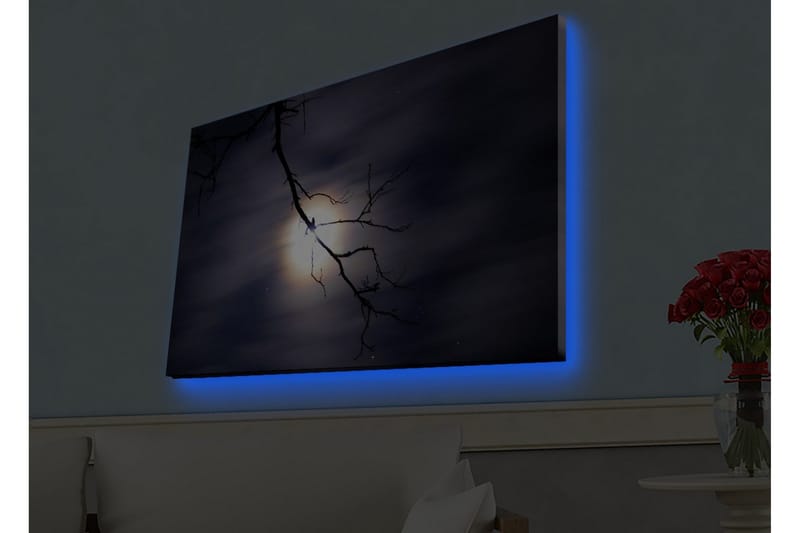 Canvastavla med LED-belysning - Måne som lyser genom mörka moln med en gren i förgrunden - Mörkblå / Svart / Vit - Inredning - Tavlor & konst - Canvastavlor