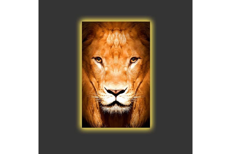 Canvastavla med LED-belysning - Majestätisk lejonhuvud i närbild - Guld / Brun / Svart - Inredning - Tavlor & konst - Canvastavlor