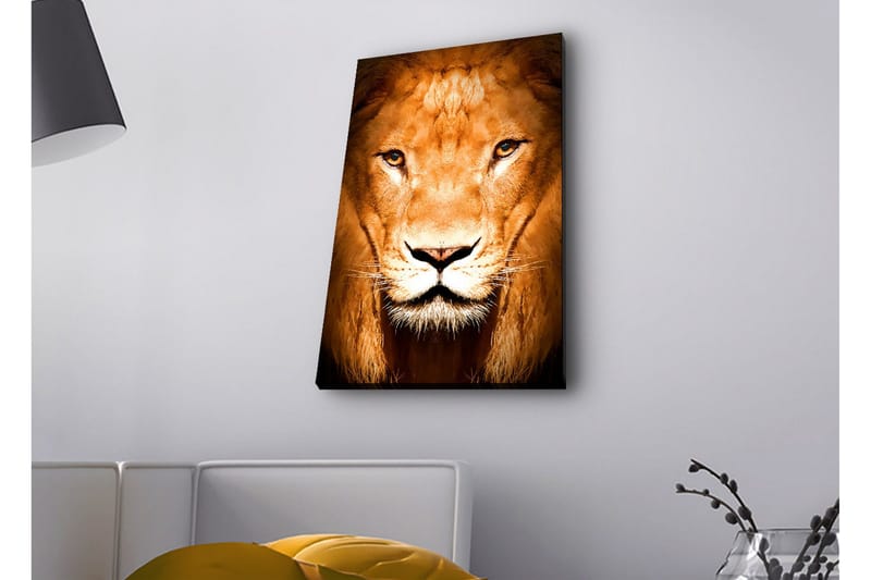 Canvastavla med LED-belysning - Majestätisk lejonhuvud i närbild - Guld / Brun / Svart - Inredning - Tavlor & konst - Canvastavlor