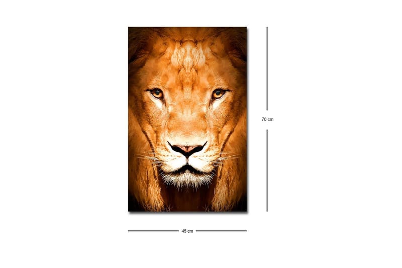 Canvastavla med LED-belysning - Majestätisk lejonhuvud i närbild - Guld / Brun / Svart - Inredning - Tavlor & konst - Canvastavlor