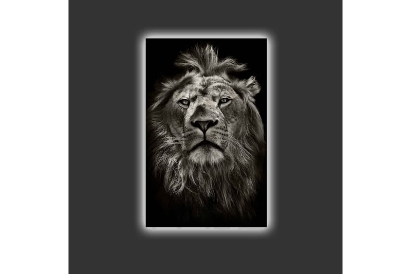 Canvastavla med LED-belysning - Majestätisk lejonhuvud i svartvitt - Svart / Grå - Inredning - Tavlor & konst - Canvastavlor