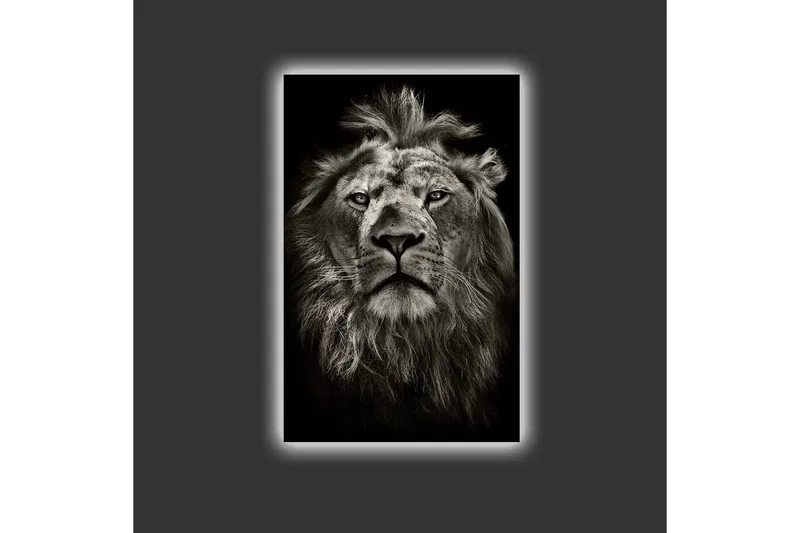 Canvastavla med LED-belysning - Majestätisk lejonhuvud i svartvitt - Svart / Grå - Inredning - Tavlor & konst - Canvastavlor