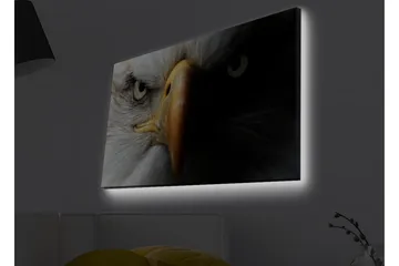 Canvastavla med LED-belysning - Närbild av en majestätisk örn med intensiva ögon - Vit / Svart / Orange - Inredning - Tavlor & konst - Canvastavlor