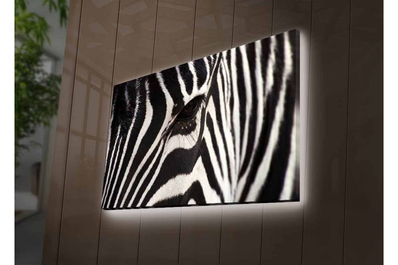 Canvastavla med LED-belysning - Närbild av en zebras ansikte med tydliga svarta och vita ränder - Svart / Vit - Inredning - Tavlor & konst - Canvastavlor