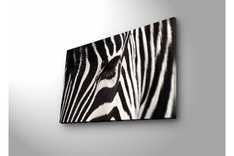 Canvastavla med LED-belysning - Närbild av en zebras ansikte med tydliga svarta och vita ränder - Svart / Vit - Inredning - Tavlor & konst - Canvastavlor
