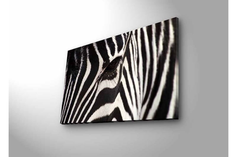 Canvastavla med LED-belysning - Närbild av en zebras ansikte med tydliga svarta och vita ränder - Svart / Vit - Inredning - Tavlor & konst - Canvastavlor