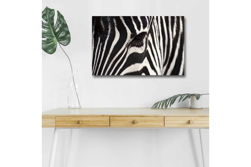 Canvastavla med LED-belysning - Närbild av en zebras ansikte med tydliga svarta och vita ränder, Svart / Vit