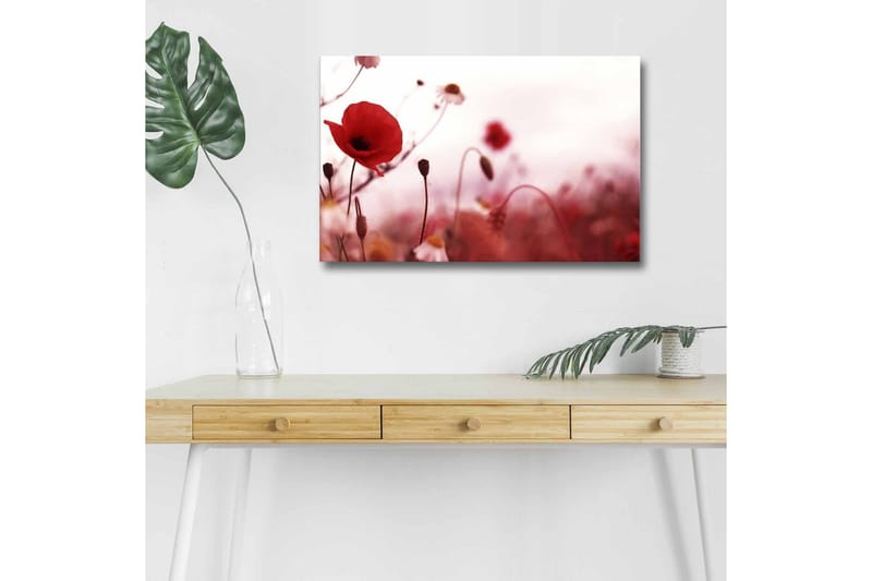 Canvastavla med LED-belysning - Röd vallmo i en mjukt suddig blomsteräng, Röd / Rosa / Grön