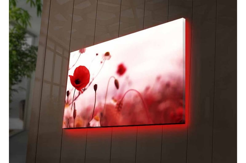 Canvastavla med LED-belysning - Röd vallmo i en mjukt suddig blomsteräng - Röd / Rosa / Grön - Inredning - Tavlor & konst - Canvastavlor
