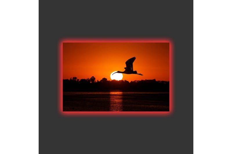 Canvastavla med LED-belysning - Silhuett av en fågel som flyger mot en solnedgång - Orange / Svart - Inredning - Tavlor & konst - Canvastavlor