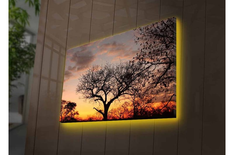 Canvastavla med LED-belysning - Silhuett av ett träd mot en färgsprakande solnedgång - Mörkbrun / Orange / Gul - Inredning - Tavlor & konst - Canvastavlor