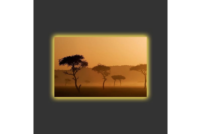 Canvastavla med LED-belysning - Silhuetter av träd i en dimmig, gyllene landskapsscen - Guld / Svart - Inredning - Tavlor & konst - Canvastavlor