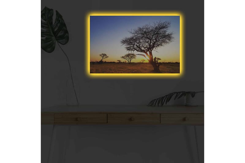 Canvastavla med LED-belysning - Silhuetter av träd mot en solnedgång i savannen - Guld / Blå / Svart - Inredning - Tavlor & konst - Canvastavlor