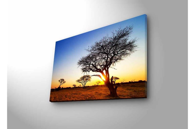 Canvastavla med LED-belysning - Silhuetter av träd mot en solnedgång i savannen - Guld / Blå / Svart - Inredning - Tavlor & konst - Canvastavlor