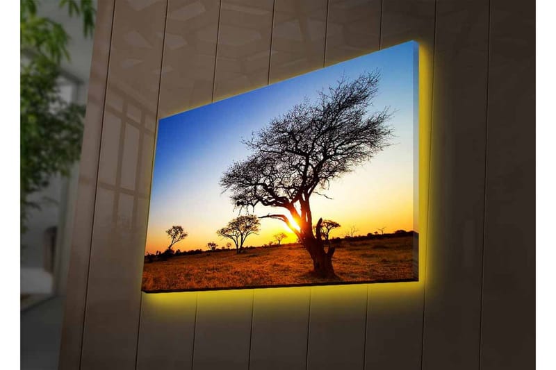 Canvastavla med LED-belysning - Silhuetter av träd mot en solnedgång i savannen - Guld / Blå / Svart - Inredning - Tavlor & konst - Canvastavlor